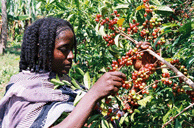 ������������,����,�V�N,���蓤,�̔�,����.